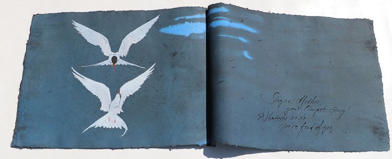 Arctic Terns artist book