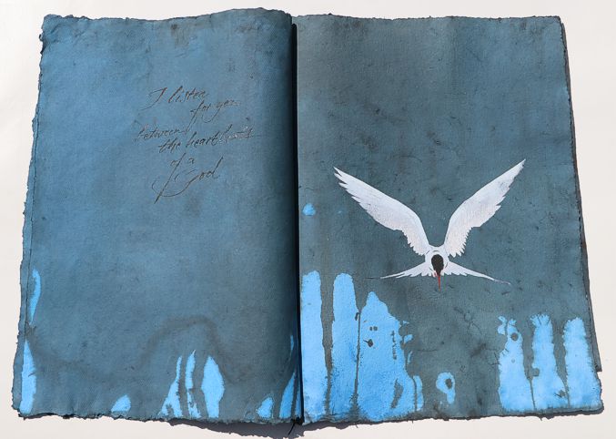 arctic tern artistbook