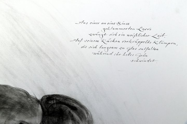 artistbook