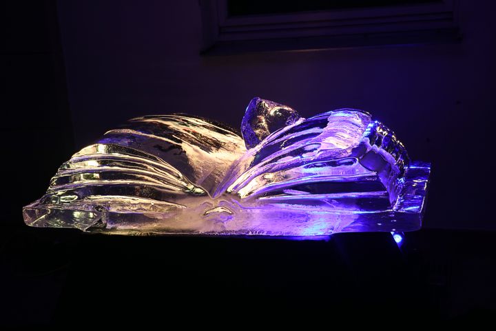 ice carving leonhardt