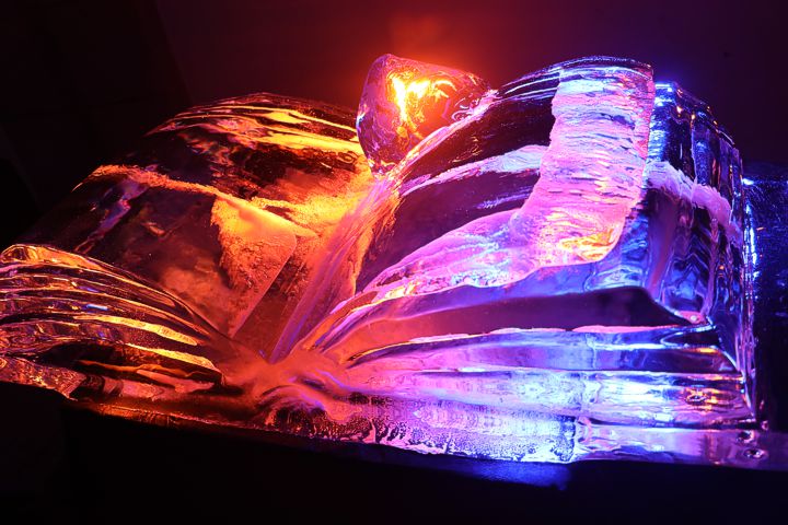 ice carving leonhardt